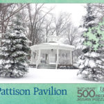 Pattison Pavillion puzzle box top